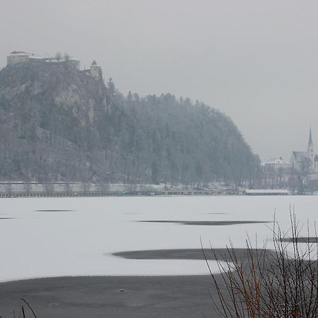 Bledlake4U Apartment Экстерьер фото
